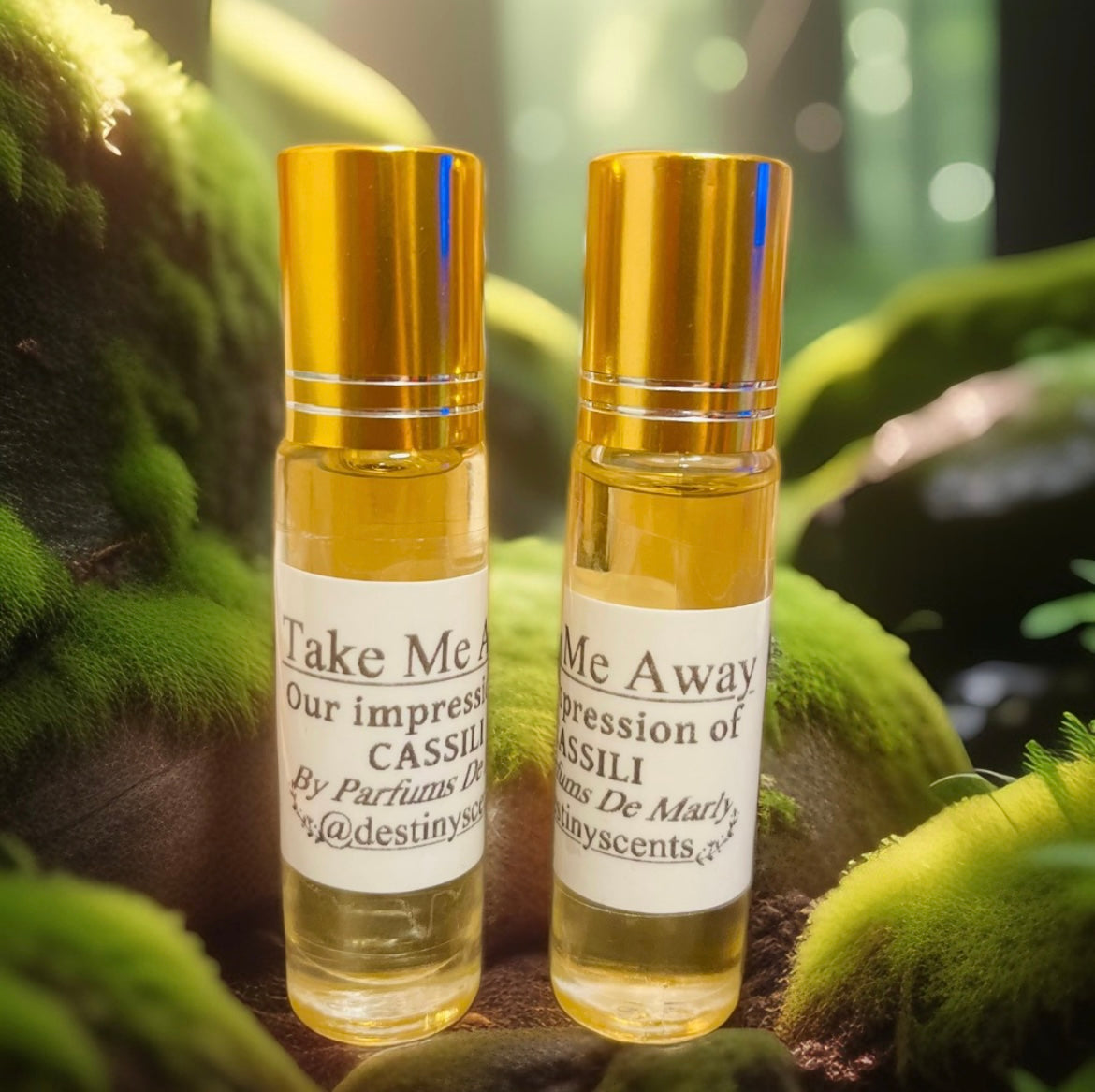 Take Me Away Perfume Oil